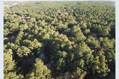 Tbd County Road 405, San Augustine, TX 75972 - Photo 4