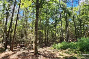 Tbd County Road 405, San Augustine, TX 75972 - Photo 1