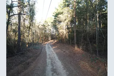 Tbd County Road 405, San Augustine, TX 75972 - Photo 44