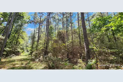 Tbd County Road 405, San Augustine, TX 75972 - Photo 26