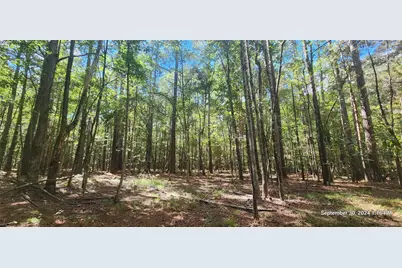 Tbd County Road 405, San Augustine, TX 75972 - Photo 2