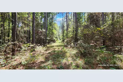Tbd County Road 405, San Augustine, TX 75972 - Photo 24