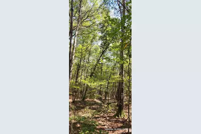 Tbd County Road 405, San Augustine, TX 75972 - Photo 20