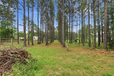 133 County Road 5005, Cleveland, TX 77327 - Photo 10