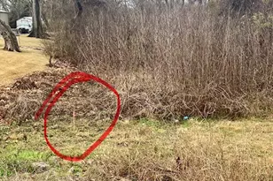 5204 Knight Rd, Rosharon, TX 77583 - Photo 10