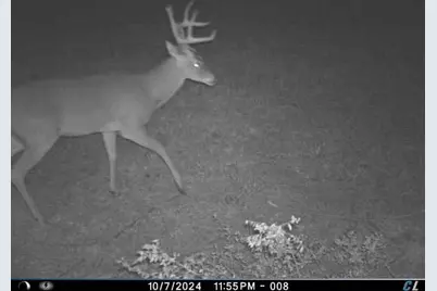 8870 Hart Lane, Sealy, TX 77474 - Photo 36