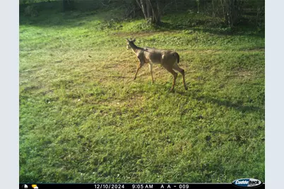 8870 Hart Lane, Sealy, TX 77474 - Photo 38