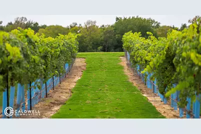 14015 Hawk Vista Court, Willis, TX 77318 - Photo 8