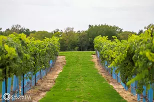 14015 Hawk Vis Ct, Willis, TX 77318 - Photo 8