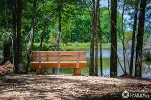 14015 Hawk Vis Ct, Willis, TX 77318 - Photo 24