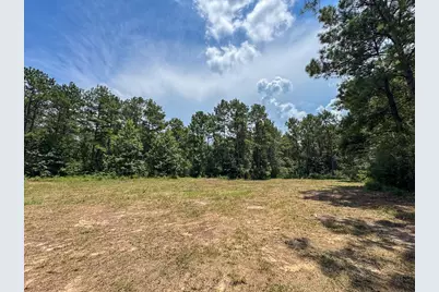 T-5 Benny Griffin Road, Livingston, TX 77351 - Photo 4