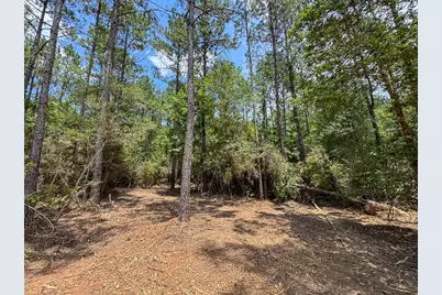 T-5 Benny Griffin Road, Livingston, TX 77351 - Photo 10