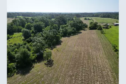 50.74 +/- Acres County Road 202, Plantersville, TX 77363 - Photo 6