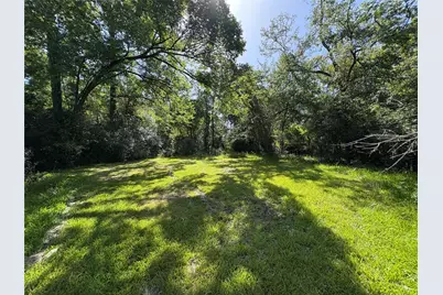 50.74 +/- Acres County Road 202, Plantersville, TX 77363 - Photo 10