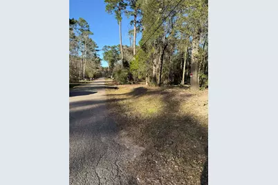 15734 Holly Drive, Montgomery, TX 77356 - Photo 4