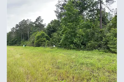15841 Ridge Rock Road, Willis, TX 77378 - Photo 6