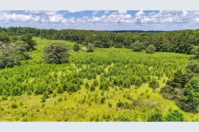 398 County Road 172, Jasper, TX 75951 - Photo 22