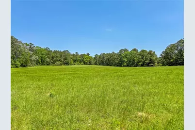 398 County Road 172, Jasper, TX 75951 - Photo 1