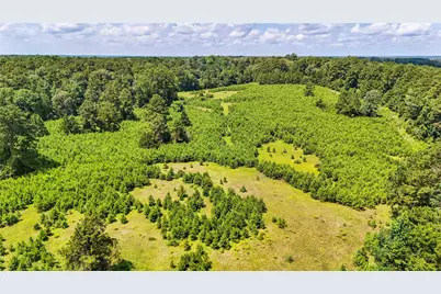 398 County Road 172, Jasper, TX 75951 - Photo 14