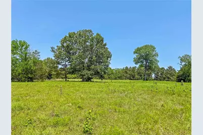 398 County Road 172, Jasper, TX 75951 - Photo 12