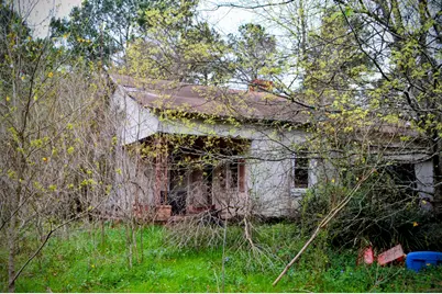 11167 State Highway 87 S, Shelbyville, TX 75973 - Photo 6