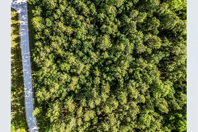 000 Lonestar Road, Huntsville, TX 77340 - Photo 10