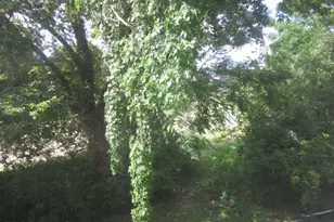 1441 East St, Houston, TX 77007 - Photo 22