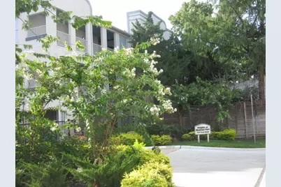 1441 East Street #207, Houston, TX 77007 - Photo 4