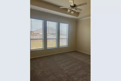 30014 Twisting Springs Drive, Fulshear, TX 77423 - Photo 20