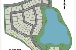 25231 Aster Hls Ln, Katy, TX 77493 - Photo 10