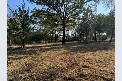 Tbd Sweed Road, Washington, TX 77880 - Photo 16