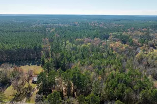 23684 Fm 227 E, Kennard, TX 75847 - Photo 14