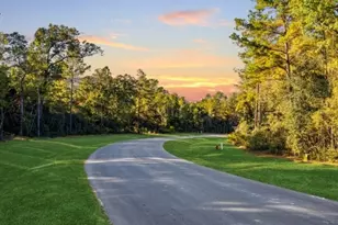 7520 Sowell St, Montgomery, TX 77316 - Photo 6