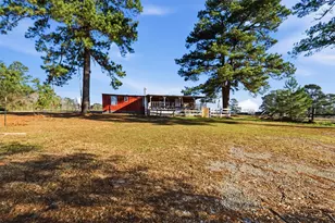 4009 Spring Branch Rd, Montgomery, TX 77316 - Photo 22