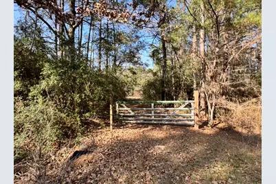 24728 Shady Oaks Blvd, Montgomery, TX 77316 - Photo 1