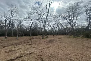 2879 Oak Forest Ln, Madisonville, TX 77864 - Photo 32