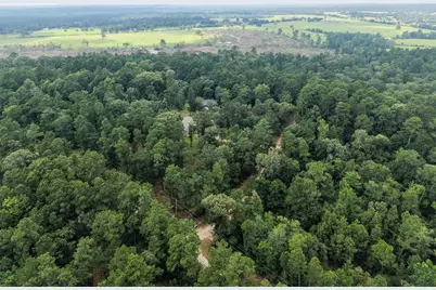 577 Winding River Rd-1, Oakhurst, TX 77364 - Photo 42