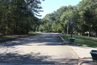 Tbd Lake Oaks Boulevard, Coldspring, TX 77331 - Photo 4