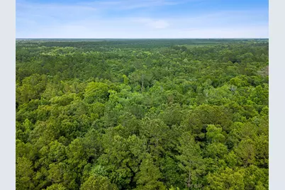 2748 Spike Buck Lane, Kountze, TX 77625 - Photo 36