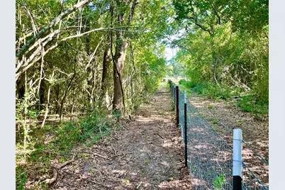 9242 Stetson Drive, Normangee, TX 77871 - Photo 14