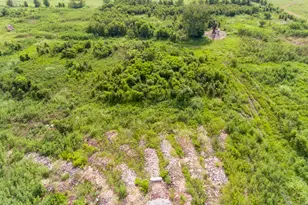 1353 Siedel Rd, Brookshire, TX 77423 - Photo 34