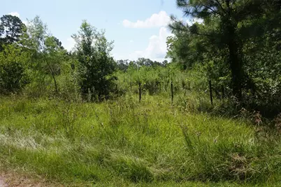 20130 Elm Street, New Caney, TX 77357 - Photo 4