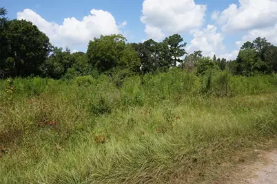 20130 Elm Street, New Caney, TX 77357 - Photo 2