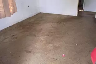 9631 Maxroy St, Houston, TX 77088 - Photo 6