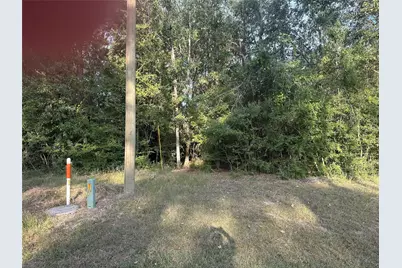 0 Magnolia Lane, Onalaska, TX 77360 - Photo 6