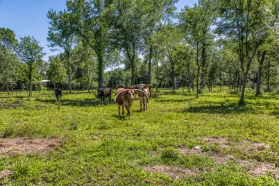 16597 Fm 912, Washington, TX 77880 - Photo 30