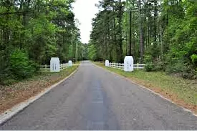 Tr 29 Oak Pine Drive, Livingston, TX 77351 - Photo 10