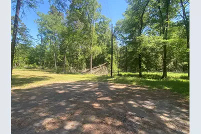 Tr 29 Oak Pine Drive, Livingston, TX 77351 - Photo 8