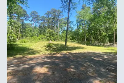 Tr 29 Oak Pine Drive, Livingston, TX 77351 - Photo 2