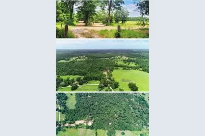 5604 County Road 364 10 Acres, Buffalo, TX 75831 - Photo 1